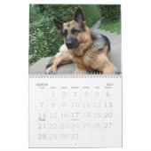 German Shepherd Calendar Kalender (Mar 2027)