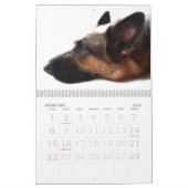 German Shepherd Calendar Kalender (Feb 2026)