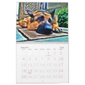 German Shepherd Calendar Kalender (Jan 2026)
