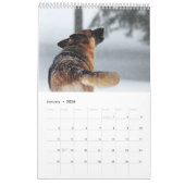 German Shepherd Calendar Kalender (Jan 2026)