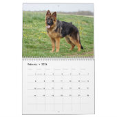 German Shepherd Calendar Kalender (Feb 2026)