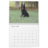 German Shepherd Calendar Kalender (Jan 2027)