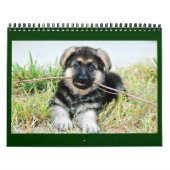 German Shepherd Calendar Kalender (Hoes)
