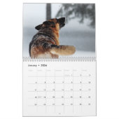 German Shepherd Calendar Kalender (Jan 2026)