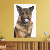 German Shepherd Canvas Afdruk (Insitu (Woonkamer))