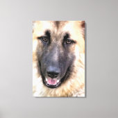 GERMAN SHEPHERD CANVAS AFDRUK (Voorkant)