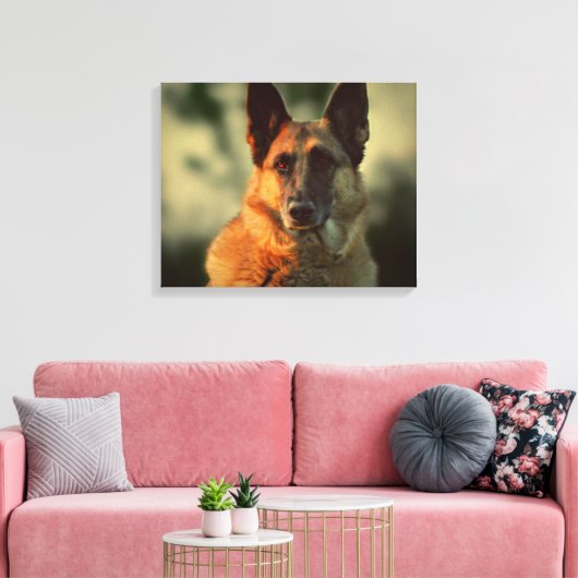German Shepherd Canvas Afdruk (Insitu (Woonkamer))