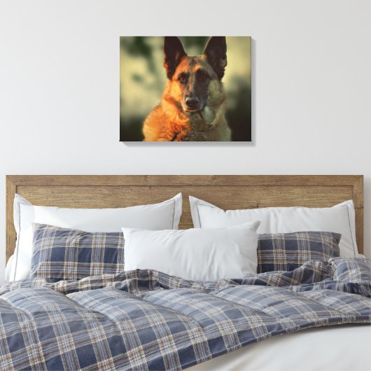 German Shepherd Canvas Afdruk (Insitu (Slaapkamer))