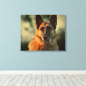 German Shepherd Canvas Afdruk (Insitu (Houten vloer))