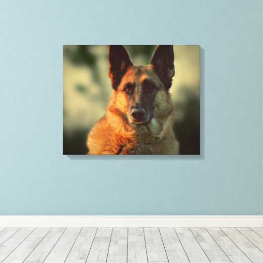 German Shepherd Canvas Afdruk (Insitu (Houten vloer))