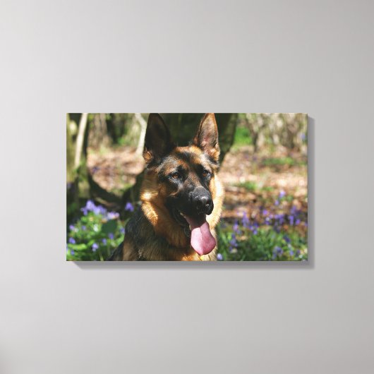 German Shepherd Canvas Afdruk (Voorkant)