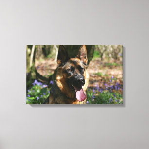 German Shepherd Canvas Afdruk