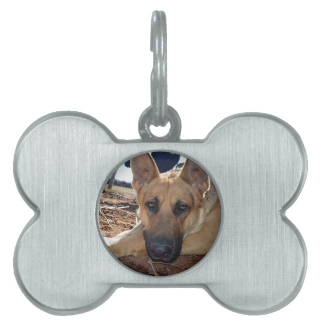 German Shepherd Cat Naps, Dog Bone Label Huisdieren Naamplaatje (voorkant)