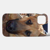 German Shepherd Cat Naps, iPhone 13 Hoesje (Achterkant (horizontaal))