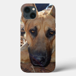 German Shepherd Cat Naps, iPhone 13 Hoesje