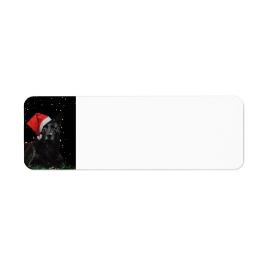 German Shepherd Christmas Etiket (Voorkant)
