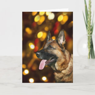 German Shepherd Christmas Feestdagen Kaart