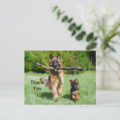 German Shepherd Dank je Briefkaart (Staand voorkant)