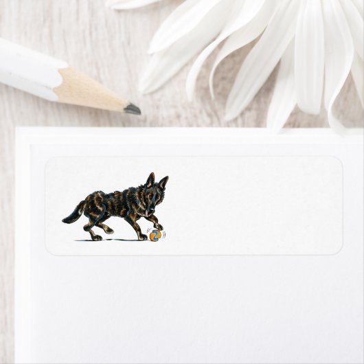 German Shepherd Dax Etiket (Insitu)