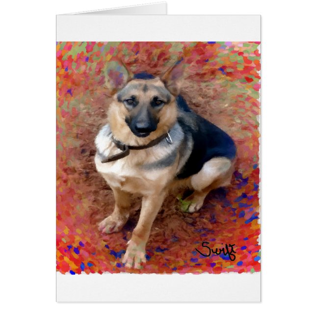 German Shepherd Dog (Voorkant)