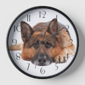 German Shepherd Dog (Voorkant)