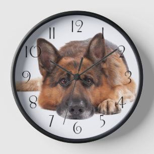 German Shepherd Dog