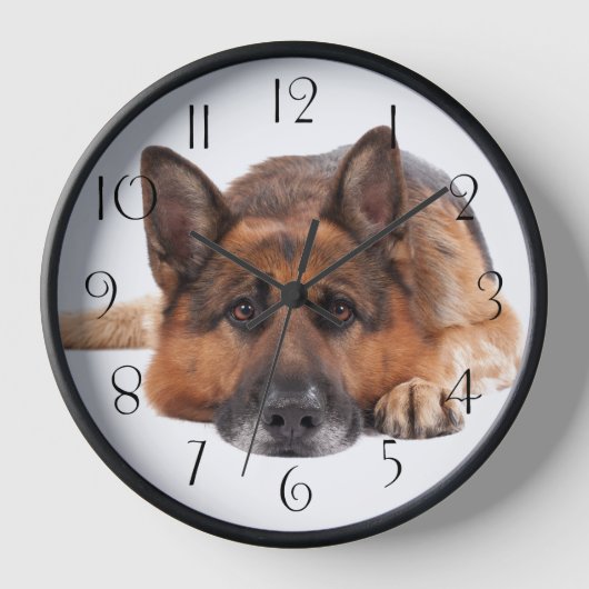 German Shepherd Dog (Voorkant)
