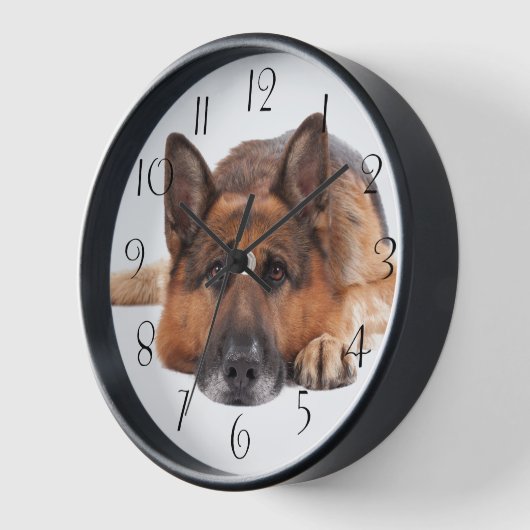 German Shepherd Dog (Hoek)
