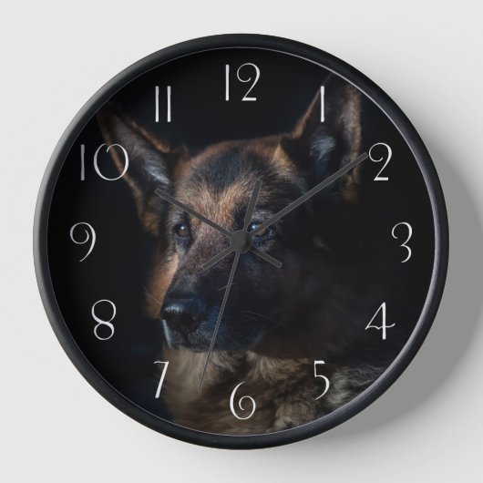 German Shepherd Dog (Voorkant)