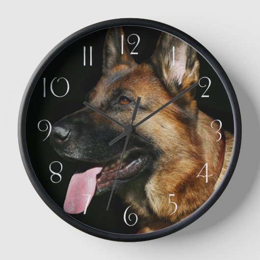 German Shepherd Dog (Voorkant)