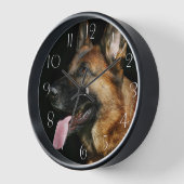 German Shepherd Dog (Hoek)