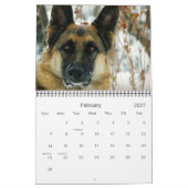 German Shepherd Dog 2013 Calendar Kalender (Feb 2027)