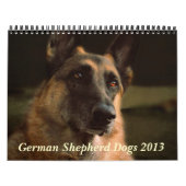 German Shepherd Dog 2013 Calendar Kalender (Hoes)