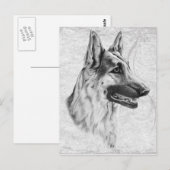 German Shepherd Dog Briefkaart (Voorkant / Achterkant)
