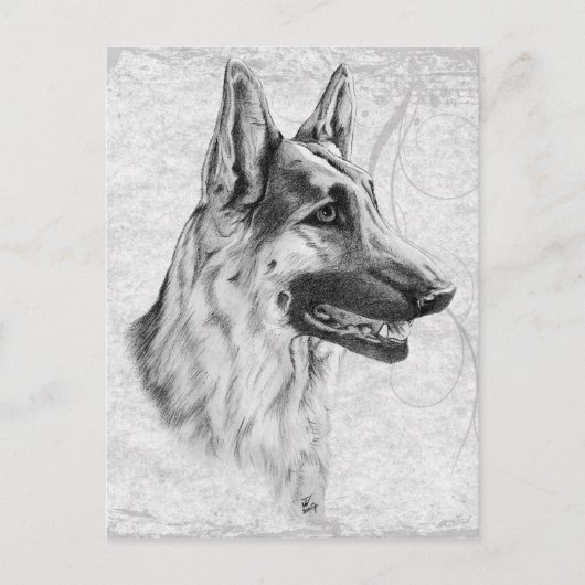 German Shepherd Dog Briefkaart (Voorkant)