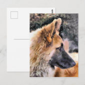 GERMAN SHEPHERD DOG BRIEFKAART (Voorkant / Achterkant)