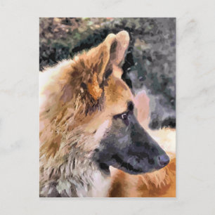 GERMAN SHEPHERD DOG BRIEFKAART