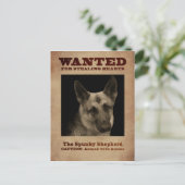 German Shepherd Dog Briefkaart (Staand voorkant)