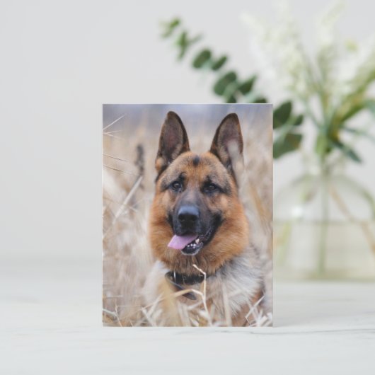 German Shepherd Dog Briefkaart (Staand voorkant)