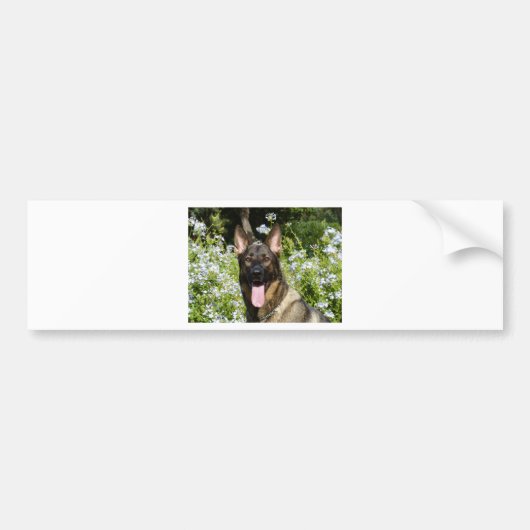 German Shepherd Dog Bumpersticker (Voorkant)