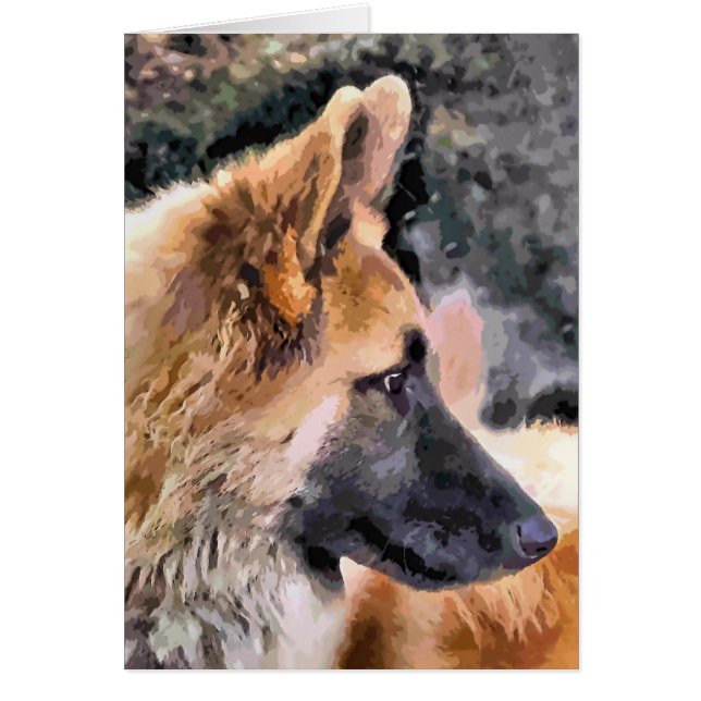 GERMAN SHEPHERD DOG Card (Voorkant)