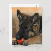 German Shepherd Dog Design Briefkaart (Voorkant / Achterkant)