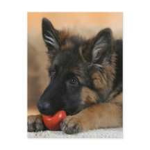 German Shepherd Dog Design
