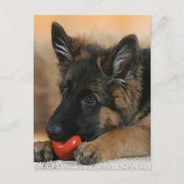 German Shepherd Dog Design Briefkaart