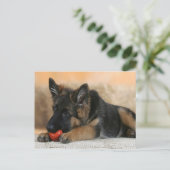 German Shepherd Dog Design Briefkaart (Staand voorkant)