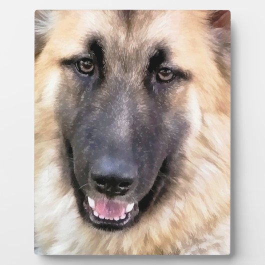 GERMAN SHEPHERD DOG FOTOPLAAT (Voorkant)