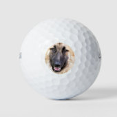 GERMAN SHEPHERD DOG GOLFBALLEN (Voorkant)
