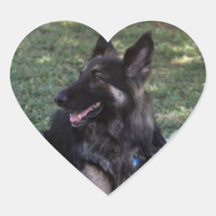 German Shepherd Dog Hart Sticker