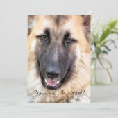 GERMAN SHEPHERD DOG KAART (Staand voorkant)