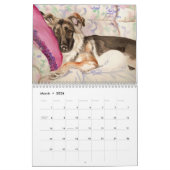 German Shepherd Dog Kalendar Kalender (Mar 2026)